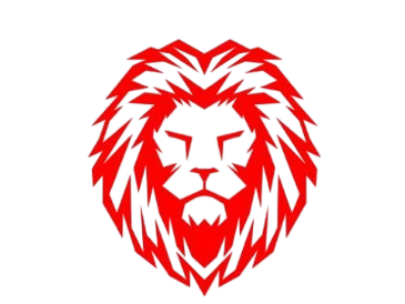 Vida Software And Media